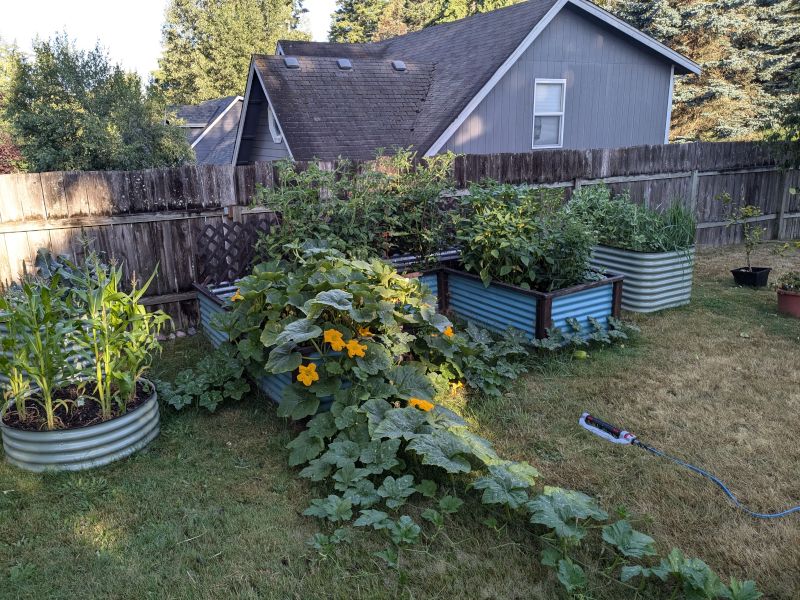 Our Garden