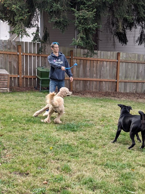 Playing with the Dogs