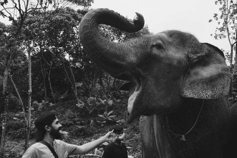 Michael at an Elephant Sanctuary