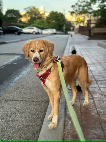 Willow's Modeling Debut