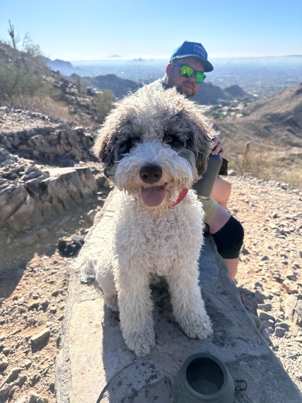Our Dog, Franklin