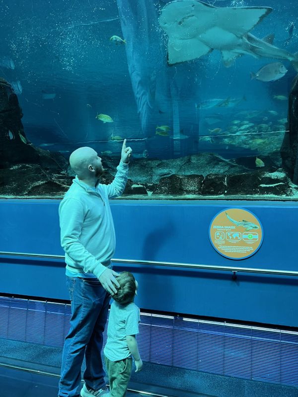 At the Atlanta Aquarium