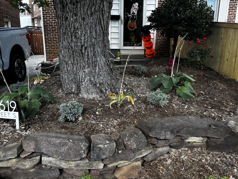 The Garden in Our Front Yard