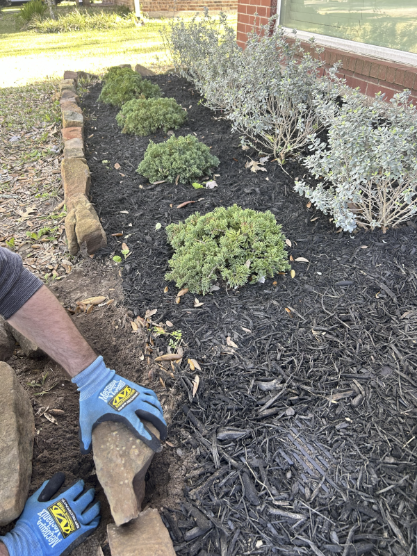 Spending Time Together Landscaping and Gardening