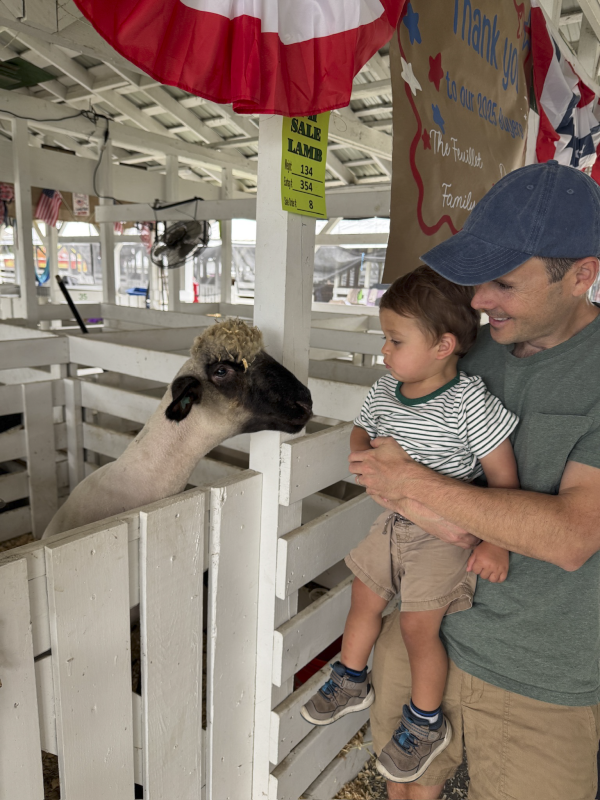 Seeing the Animals at the County Fair