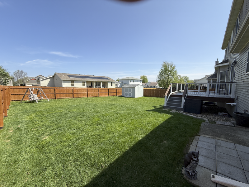 Our Backyard
