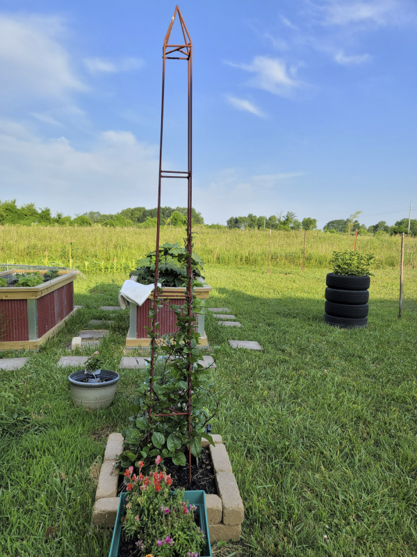 Obelisk in Garden